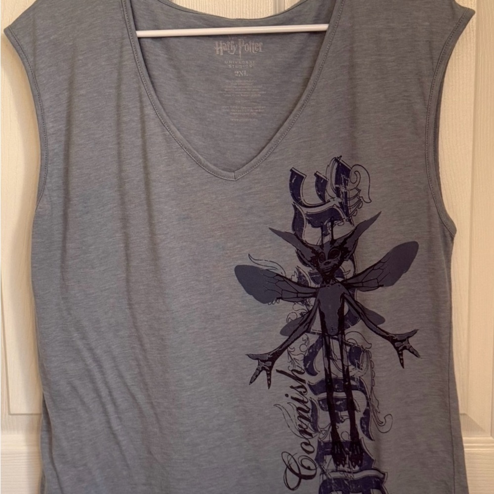 Blue Graphic Harry Potter Wizarding World Cornish Pixie Graphic Tee 2XL